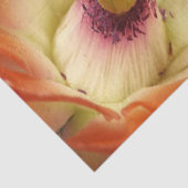 オレンジサボスフラワーティッシュペーパー 薄葉紙 (詳細)