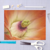 オレンジサボスフラワーティッシュペーパー 薄葉紙 (クラフト)