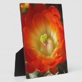 オレンジサボテン花 フォトプラーク (側面)