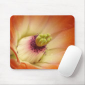 オレンジサボテン花 マウスパッド (マウス)