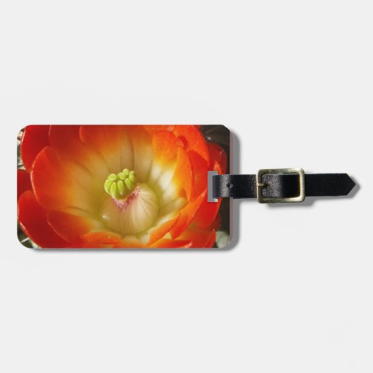 オレンジサボテン花 ラゲッジタグ (正面横)