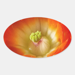オレンジサボテン花 楕円形シール