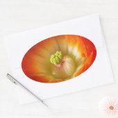 オレンジサボテン花 楕円形シール (封筒)