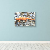 オレンジサラマンダー キャンバスプリント (インサイチュ (ウッドフロア))