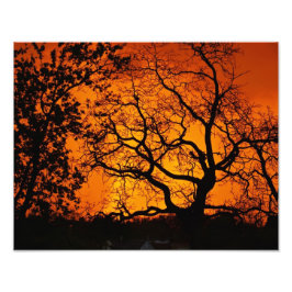 オレンジサンセット フォトプリント           