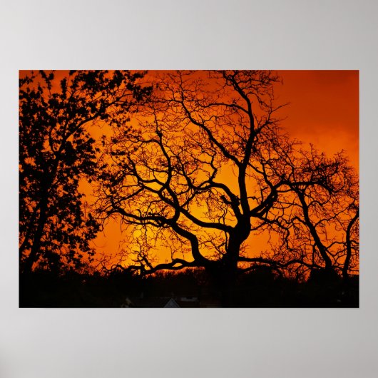 オレンジサンセット ポスター (正面)