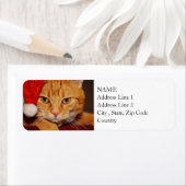 オレンジサンタ子猫：猫のメリークリスマス ラベル (インサイチュ)