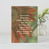 オレンジサンフラワー花びらパーティー 招待状 (スタンド正面)