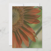 オレンジサンフラワー花びらパーティー 招待状 (裏面)