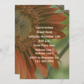 オレンジサンフラワー花びらパーティー 招待状 (正面/裏面)