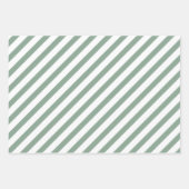 オレンジシトラスグリーンウォーター葉カラーストライプ ラッピングペーパーシート (正面3)