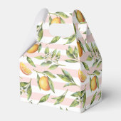 オレンジシトラスリトルかわいこちゃんワンバースデービープ フェイバーボックス (裏面サイド)