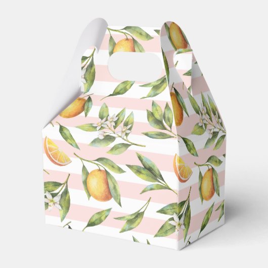 オレンジシトラスリトルかわいこちゃんワンバースデービープ フェイバーボックス (裏面サイド)