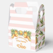 オレンジシトラスリトルかわいこちゃんワンバースデービープ フェイバーボックス (オープン)