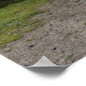 オレンジシュタイトラクターKL II ポスター (角)