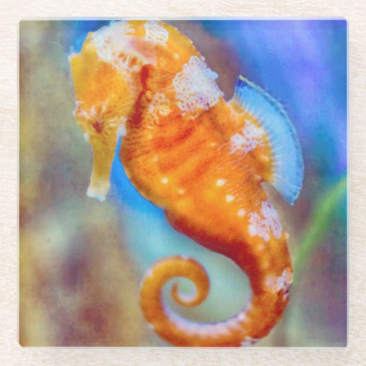 オレンジシーホース喜び ガラスコースター (正面)