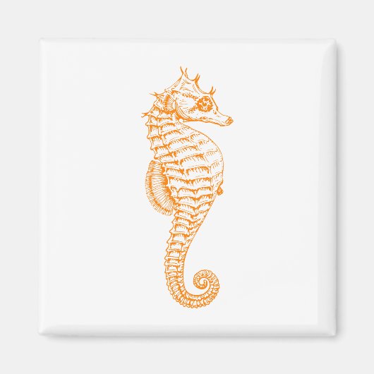 オレンジシーホース マグネット (正面)