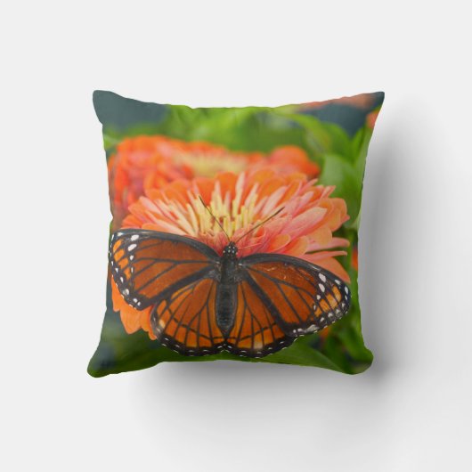 オレンジジニアスの副長蝶 クッション (裏面)
