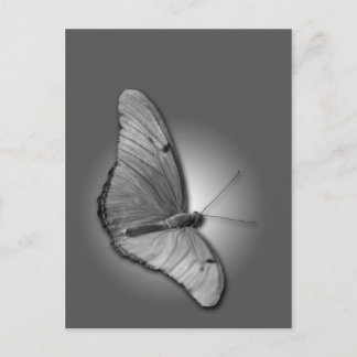 オレンジジュリア ポストカード