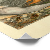 オレンジスターフィッシュマリンライフアートプリント ポスター (角)