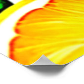 オレンジスライス：シトラスアート ポスター (角)