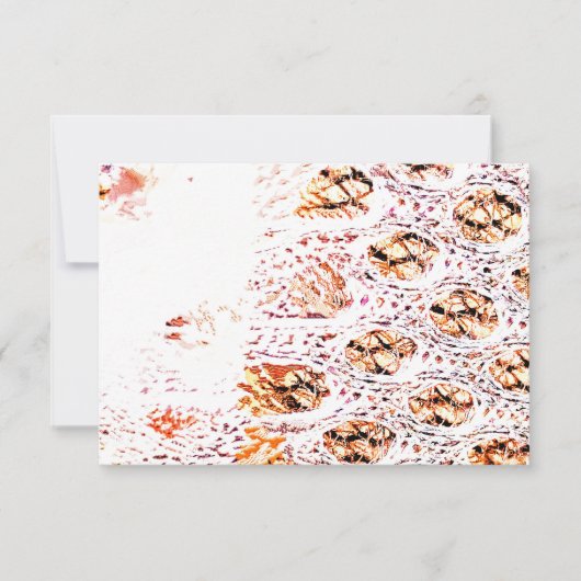 オレンジセルプリント (正面)