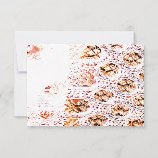 オレンジセルプリント