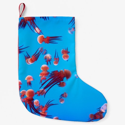 オレンジゼリー魚 スモールクリスマスストッキング (正面)