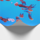 オレンジゼリー魚 ラッピングペーパー (角)