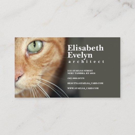 オレンジタイガーキャット顔クローズアップ 名刺 (裏面)