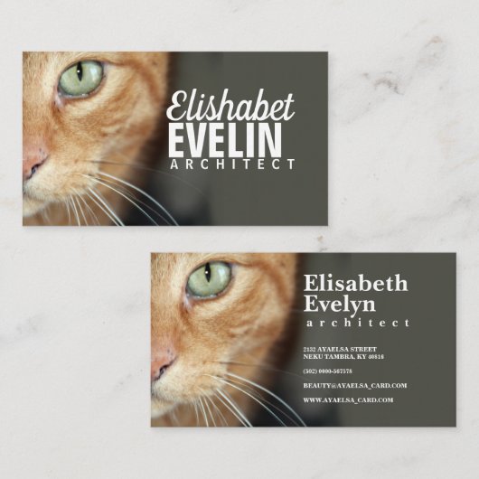 オレンジタイガーキャット顔クローズアップ 名刺 (正面/裏面)