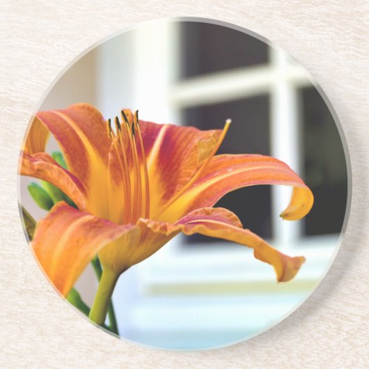 オレンジタイガーリリー コースター (正面)