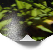 オレンジタイガーリリー フォトプリント            (角)