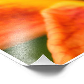 オレンジタイガーリリー フォトプリント            (角)