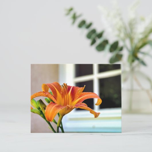 オレンジタイガーリリー ポストカード (スタンド正面)