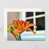 オレンジタイガーリリー ポストカード (正面/裏面)