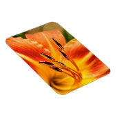 オレンジタイガーリリー マグネット (右側)