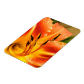 オレンジタイガーリリー マグネット (左側)