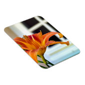 オレンジタイガーリリー マグネット (右側)