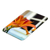 オレンジタイガーリリー マグネット (左側)