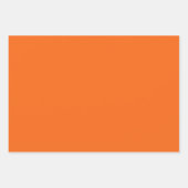 オレンジタイガー無地のカラー ラッピングペーパーシート (正面2)