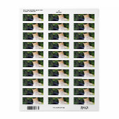 オレンジタビーキャット住所 シール (フルシート)