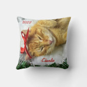 オレンジタビーパーソナライズされたキャットクリスマス クッション (裏面)