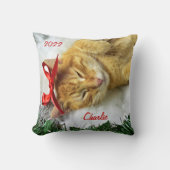 オレンジタビーパーソナライズされたキャットクリスマス クッション (正面)