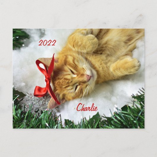 オレンジタビーパーソナライズされたキャットクリスマス ポストカード (正面)