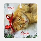 オレンジタビーパーソナライズされたキャットクリスマス メタルオーナメント (裏面)