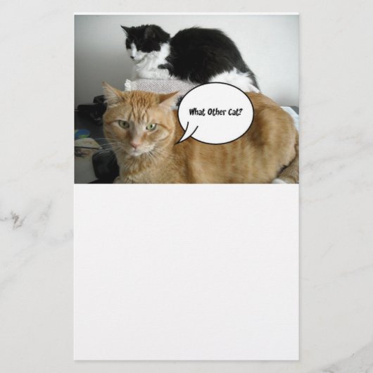 オレンジタビー猫ごめんなさい 便箋 (正面)