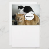 オレンジタビー猫ごめんなさい 便箋 (正面/裏面)