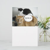 オレンジタビー猫ごめんなさい 便箋 (スタンド正面)