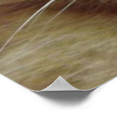 オレンジタビー猫ポスター ポスター (角)